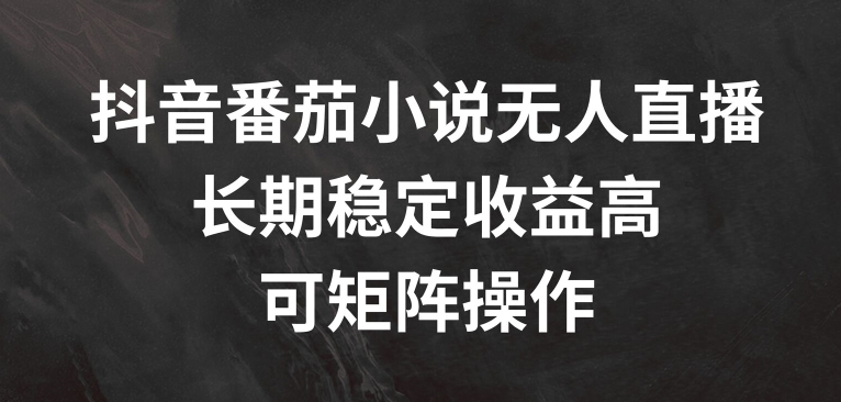 抖音番茄小说无人直播，长期稳定收益高，可矩阵操作【揭秘】-轻松搞定副业 - 高效赚钱方法和建议