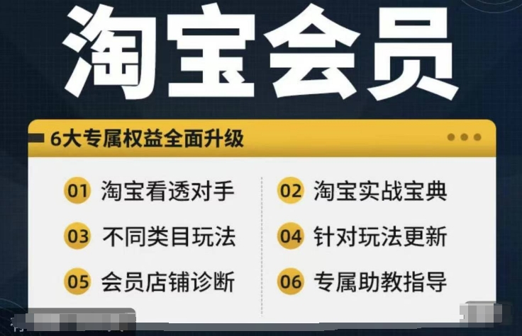 淘宝会员【淘宝所有课程，全面分析对手】，初级到高手全系实战宝典-轻松搞定副业 - 高效赚钱方法和建议
