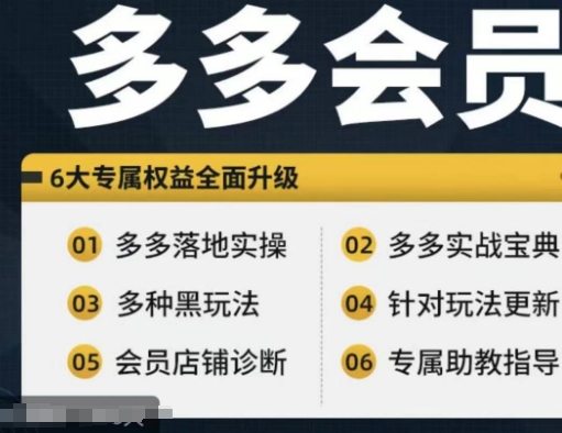 拼多多会员，拼多多实战宝典+实战落地实操，从新手到高阶内容全面覆盖-轻松搞定副业 - 高效赚钱方法和建议