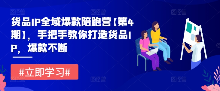 货品IP全域爆款陪跑营【第4期】，手把手教你打造货品IP，爆款不断-轻松搞定副业 - 高效赚钱方法和建议