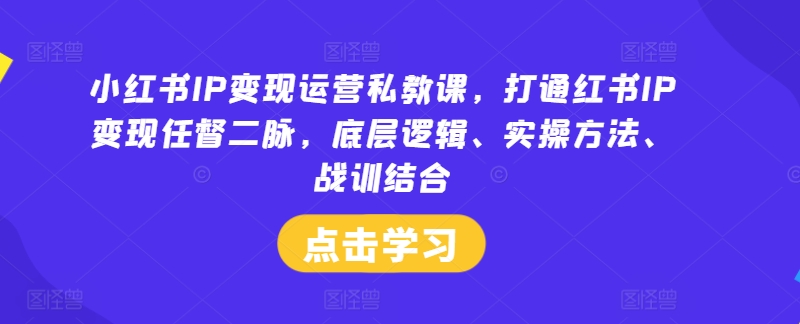 小红书IP变现运营私教课，打通红书IP变现任督二脉，底层逻辑、实操方法、战训结合-轻松搞定副业 - 高效赚钱方法和建议