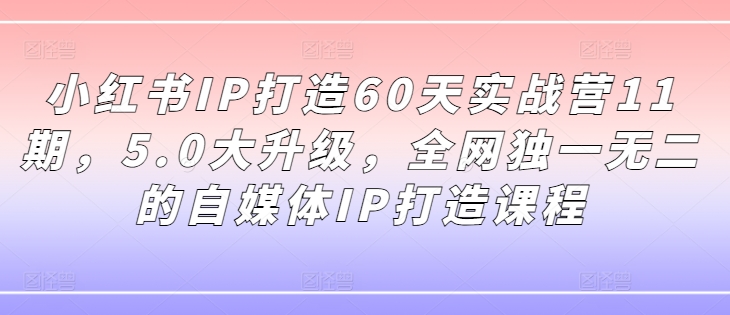 小红书IP打造60天实战营11期，5.0大升级，全网独一无二的自媒体IP打造课程-轻松搞定副业 - 高效赚钱方法和建议