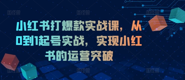 小红书打爆款实战课，从0到1起号实战，实现小红书的运营突破-轻松搞定副业 - 高效赚钱方法和建议