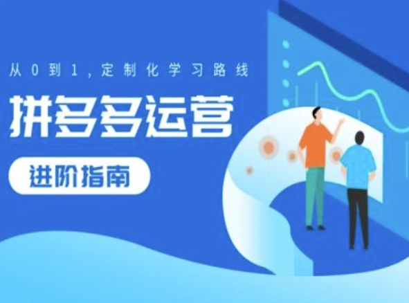 拼多多运营进阶指南，从0到1定制化学习路线-轻松搞定副业 - 高效赚钱方法和建议