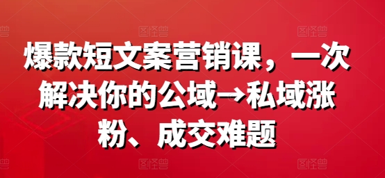 爆款短文案营销课，一次解决你的公域→私域涨粉、成交难题-轻松搞定副业 - 高效赚钱方法和建议