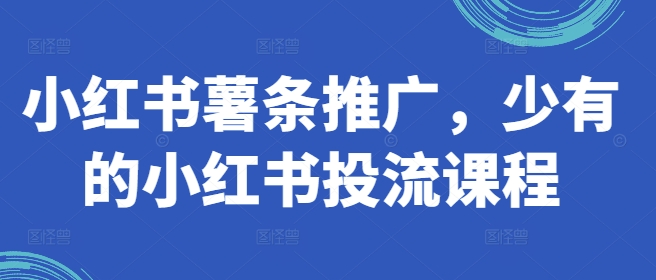 小红书薯条推广，少有的小红书投流课程-轻松搞定副业 - 高效赚钱方法和建议