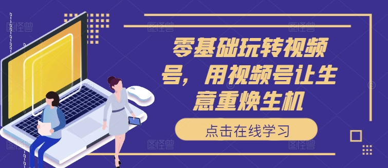 零基础玩转视频号，用视频号让生意重焕生机-轻松搞定副业 - 高效赚钱方法和建议