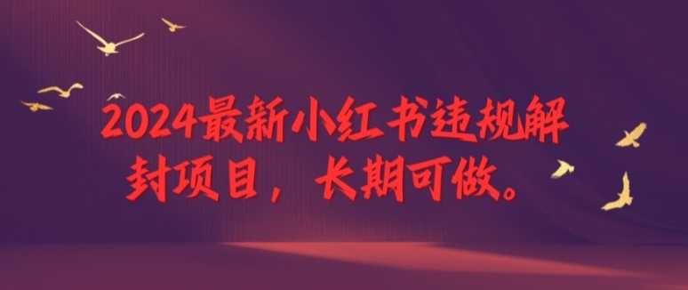 2024最新小红书违规解封项目，长期可做，一个可以做到退休的项目【揭秘】-轻松搞定副业 - 高效赚钱方法和建议