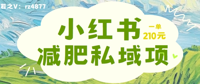 小红书减肥粉，私域变现项目，一单就达210元，小白也能轻松上手【揭秘】-轻松搞定副业 - 高效赚钱方法和建议