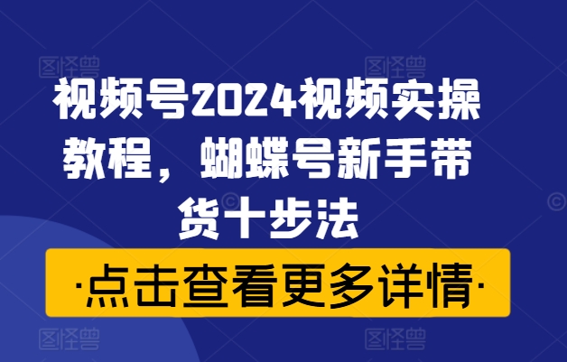 视频号2024视频实操教程，蝴蝶号新手带货十步法-轻松搞定副业 - 高效赚钱方法和建议