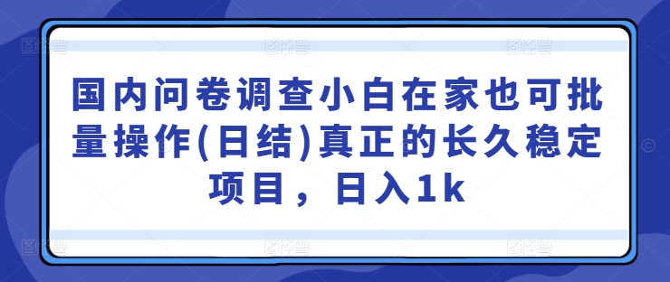 国内问卷调查小白在家也可批量操作(日结)真正的长久稳定项目，日入1k【揭秘】-轻松搞定副业 - 高效赚钱方法和建议