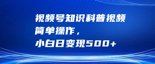 视频号知识科普视频，简单操作，小白日变现500+【揭秘】-轻松搞定副业 - 高效赚钱方法和建议