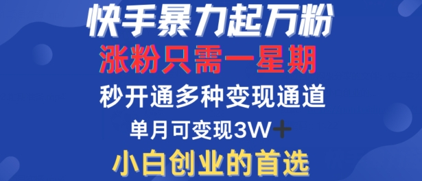 快手暴力起万粉，涨粉只需一星期，多种变现模式，直接秒开万合，单月变现过W【揭秘】-轻松搞定副业 - 高效赚钱方法和建议