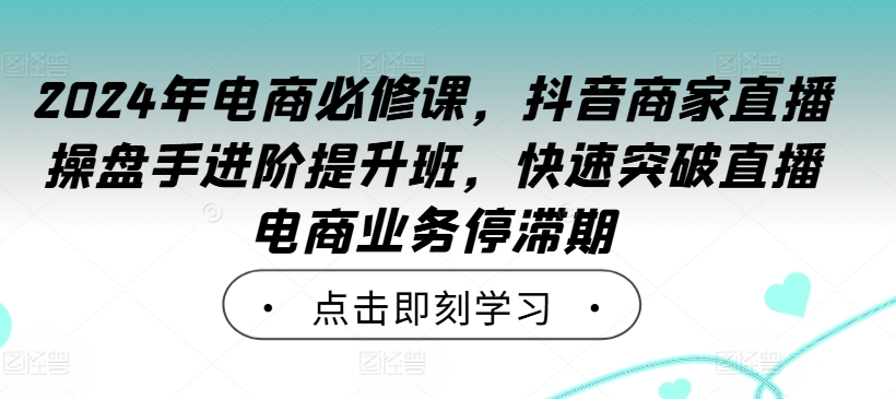 2024年电商必修课，抖音商家直播操盘手进阶提升班，快速突破直播电商业务停滞期-轻松搞定副业 - 高效赚钱方法和建议