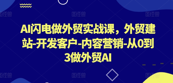 AI闪电做外贸实战课，​外贸建站-开发客户-内容营销-从0到3做外贸AI（更新）-轻松搞定副业 - 高效赚钱方法和建议