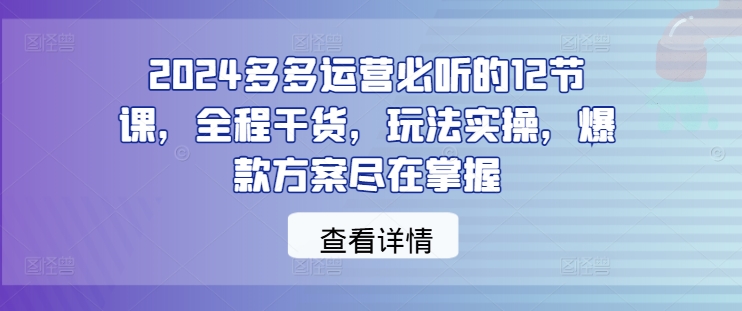 2024多多运营必听的12节课，全程干货，玩法实操，爆款方案尽在掌握-轻松搞定副业 - 高效赚钱方法和建议