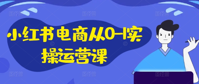 小红书电商从0-1实操运营课，小红书手机实操小红书/IP和私域课/小红书电商电脑实操板块等-轻松搞定副业 - 高效赚钱方法和建议