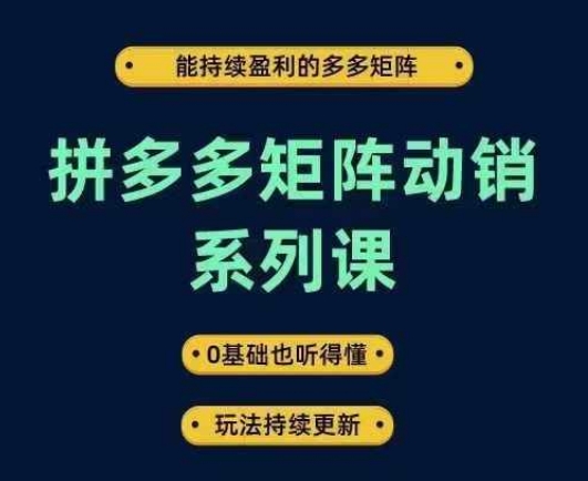 拼多多矩阵动销系列课，能持续盈利的多多矩阵，0基础也听得懂，玩法持续更新-轻松搞定副业 - 高效赚钱方法和建议