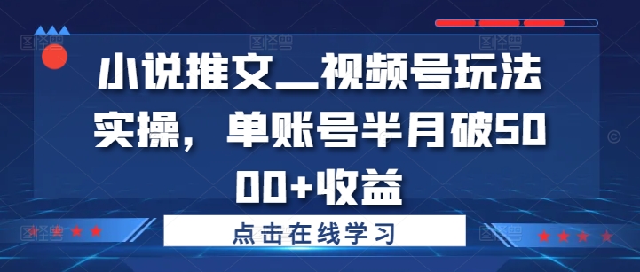 小说推文—视频号玩法实操，单账号半月破5000+收益-轻松搞定副业 - 高效赚钱方法和建议