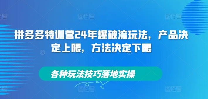 拼多多特训营24年爆破流玩法，产品决定上限，方法决定下限，各种玩法技巧落地实操-轻松搞定副业 - 高效赚钱方法和建议