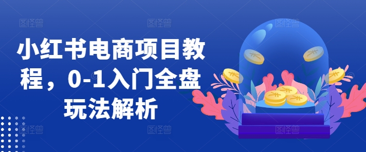 小红书电商项目教程，0-1入门全盘玩法解析-轻松搞定副业 - 高效赚钱方法和建议