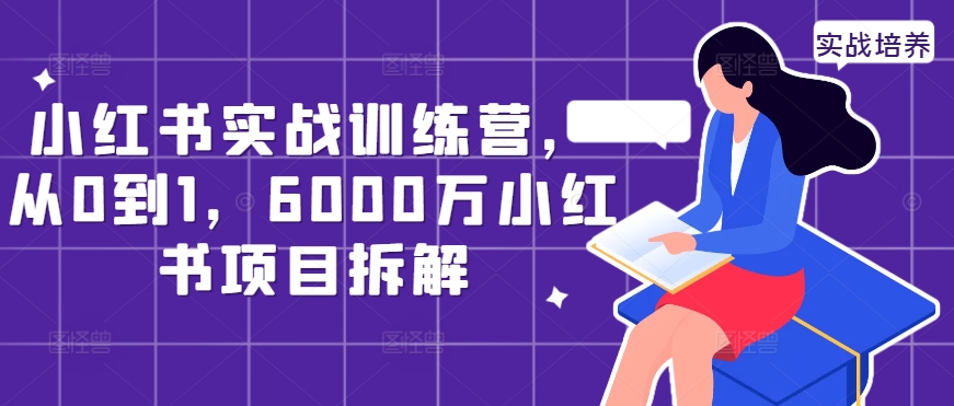 小红书实战训练营，从0到1，6000万小红书项目拆解-轻松搞定副业 - 高效赚钱方法和建议
