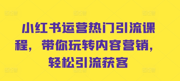小红书运营热门引流课程，带你玩转内容营销，轻松引流获客-轻松搞定副业 - 高效赚钱方法和建议