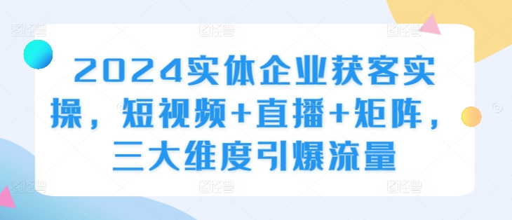 2024实体企业获客实操，短视频+直播+矩阵，三大维度引爆流量-轻松搞定副业 - 高效赚钱方法和建议