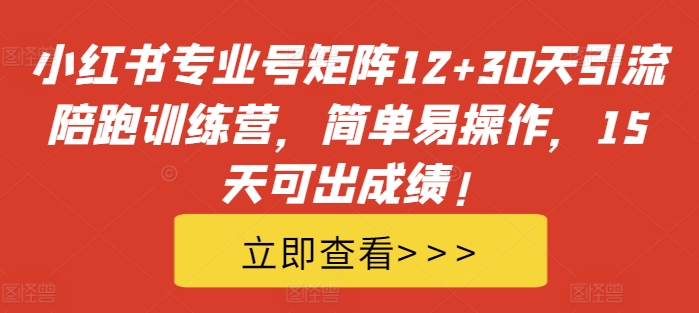 小红书专业号矩阵12+30天引流陪跑训练营，简单易操作，15天可出成绩!-轻松搞定副业 - 高效赚钱方法和建议