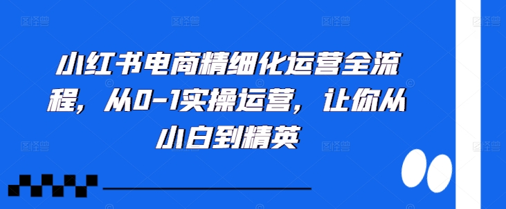 小红书电商精细化运营全流程，从0-1实操运营，让你从小白到精英-轻松搞定副业 - 高效赚钱方法和建议