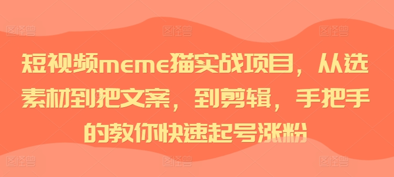 短视频meme猫实战项目，从选素材到把文案，到剪辑，手把手的教你快速起号涨粉-轻松搞定副业 - 高效赚钱方法和建议