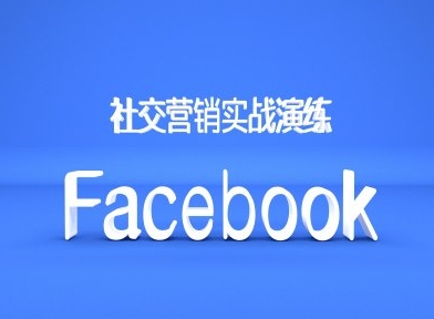 Facebook社交营销实战演练，外贸人绝对不能错过的营销推广平台-轻松搞定副业 - 高效赚钱方法和建议