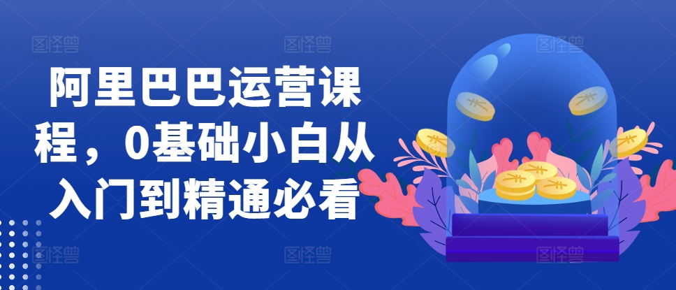 阿里巴巴运营课程，0基础小白从入门到精通必看-轻松搞定副业 - 高效赚钱方法和建议