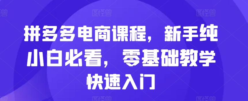 拼多多电商课程，新手纯小白必看，零基础教学快速入门-轻松搞定副业 - 高效赚钱方法和建议