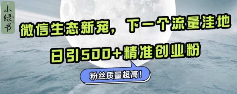 微信生态新宠小绿书：下一个流量洼地，日引500+精准创业粉，粉丝质量超高-轻松搞定副业 - 高效赚钱方法和建议