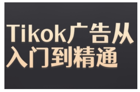 Tiktok Ads实操教程，Tiktok广告从入门到精通-轻松搞定副业 - 高效赚钱方法和建议