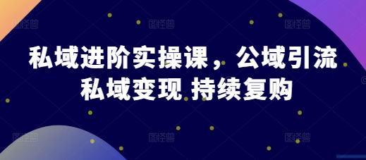 私域进阶实操课，公域引流 私域变现 持续复购-轻松搞定副业 - 高效赚钱方法和建议
