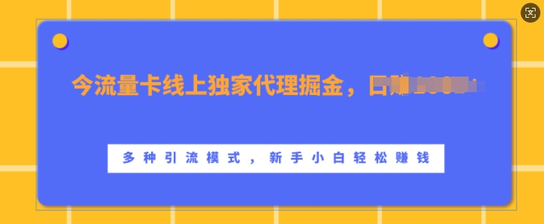 流量卡线上独家代理掘金，日入1k+ ，多种引流模式，新手小白轻松上手【揭秘】-轻松搞定副业 - 高效赚钱方法和建议