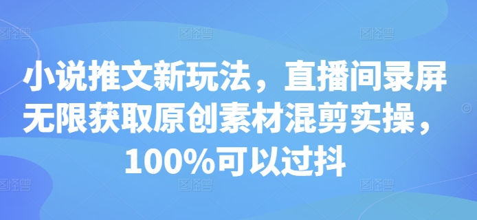 小说推文新玩法，直播间录屏无限获取原创素材混剪实操，100%可以过抖-轻松搞定副业 - 高效赚钱方法和建议