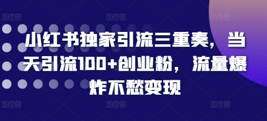 小红书独家引流三重奏，当天引流100+创业粉，流量爆炸不愁变现【揭秘】-轻松搞定副业 - 高效赚钱方法和建议