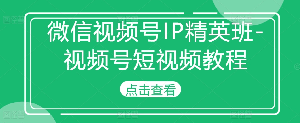 微信视频号IP精英班-视频号短视频教程-轻松搞定副业 - 高效赚钱方法和建议