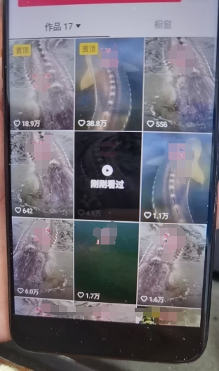 外面卖399的国学佛像原创暴力起号技术，快速起号，7天可达到一个万粉号-轻松搞定副业 - 高效赚钱方法和建议