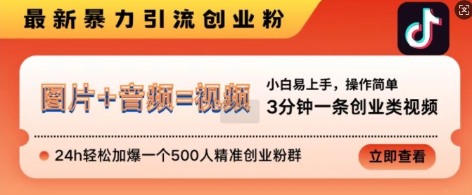 抖音最新暴力引流创业粉，3分钟一条创业类视频，24h轻松加爆一个500人精准创业粉群【揭秘】-轻松搞定副业 - 高效赚钱方法和建议