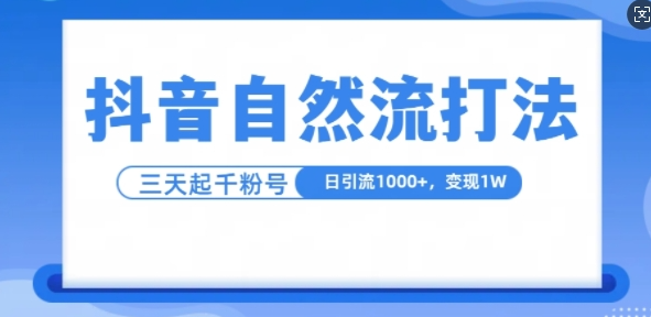 抖音自热流打法，单视频十万播放量，日引1000+，3变现1w-轻松搞定副业 - 高效赚钱方法和建议