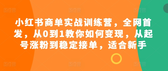 小红书商单实战训练营，全网首发，从0到1教你如何变现，从起号涨粉到稳定接单，适合新手-轻松搞定副业 - 高效赚钱方法和建议