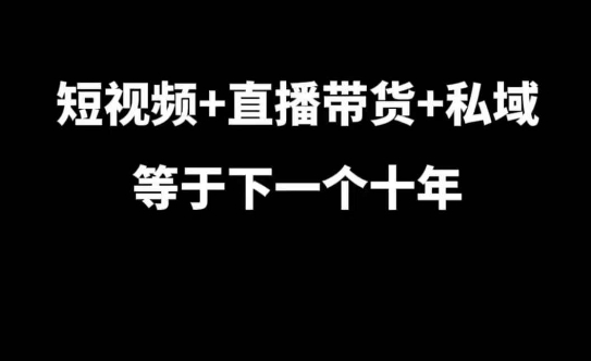 短视频+直播带货+私域等于下一个十年，大佬7年实战经验总结-轻松搞定副业 - 高效赚钱方法和建议