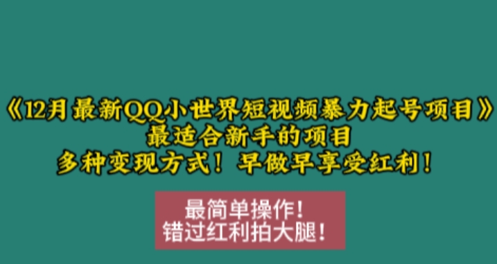 12月最新QQ小世界短视频暴力起号项目，最适合新手的项目，多种变现方式-轻松搞定副业 - 高效赚钱方法和建议