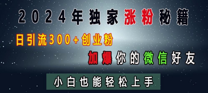 2024年独家涨粉秘籍，日引流300+创业粉，加爆你的微信好友，小白也能轻松上手-轻松搞定副业 - 高效赚钱方法和建议