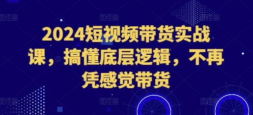 2024短视频带货实战课，搞懂底层逻辑，不再凭感觉带货-轻松搞定副业 - 高效赚钱方法和建议