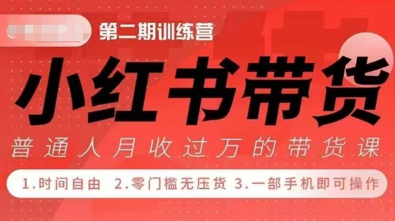 小Red书带货42天训练营 2.0版，宝妈+自由职+上班族+大学生，提高副业收入的大红利项目-轻松搞定副业 - 高效赚钱方法和建议